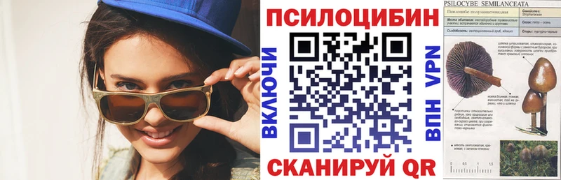 Купить закладки  Ачхой-Мартан  Галлюциногенные грибы GOLDEN TEACHER 